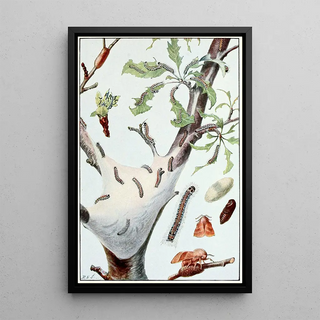 Robert Evans Snodgrass - The Tent Caterpillar.webp