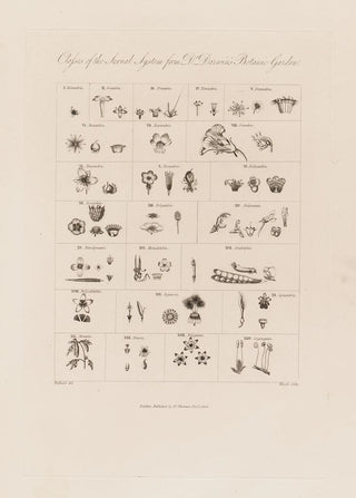 Robert John Thornton - Classes of the Sexual System from Dr Darwins Botanic Garden.webp