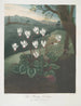 Le Cyclamen de Perse - Robert John Thornton — visning af kunstværket