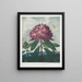 Le Rhododendron pontique - Robert John Thornton — indrammet kunstværk på væggen
