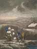 Le Perce-neige - Robert John Thornton — visning af kunstværket