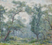Saules anciens - Robert Reid — visning af kunstværket