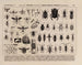 Atlas over Brasiliens dyreliv Pl08 - Rodolpho von Ihering — visning af kunstværket