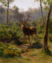 En hjort - Rosa Bonheur — visning af kunstværket