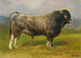 Den grå tyr - Rosa Bonheur — visning af kunstværket