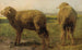 Moutons dans un pré - Rosa Bonheur — visning af kunstværket