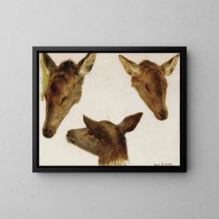 Rosa Bonheur - Study Of Deer Heads.webp