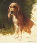 Studie af en hund - Rosa Bonheur — visning af kunstværket