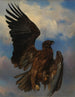 L'aigle blessé - Rosa Bonheur — visning af kunstværket