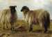 To vædder i et landskab - Rosa Bonheur — visning af kunstværket