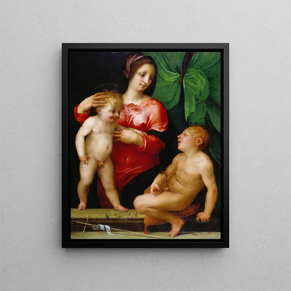 Den jomfru med barnet med den unge Johannes - Rosso Fiorentino — indrammet kunstværk på væggen