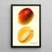 Mangifera indica Hayden - Royal Charles Steadman - Royal Charles Steadman — indrammet kunstværk på væggen