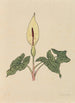 Bog af blomster - Rudolf Koch — visning af kunstværket