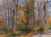 Bois d'automne - Rudolf Schramm-Zittau — visning af kunstværket