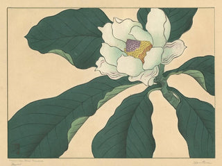 Sakai Hoitsu - Cucumber tree flowers.webp