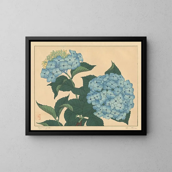 Hortensia - Sakai Hōitsu — indrammet kunstværk på væggen