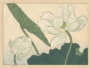 Sakai Hoitsu - Lotus.webp