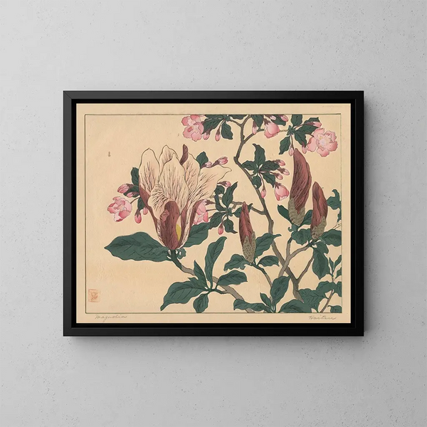 Magnolia - Sakai Hōitsu — indrammet kunstværk på væggen