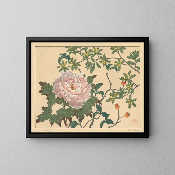 Pivoine - Sakai Hōitsu — indrammet kunstværk på væggen