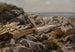 klippefyldet kyst ved Stillehavet - Samuel Colman — visning af kunstværket