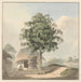 Saint siddende ved en sokkel under et træ - Samuel Davis — visning af kunstværket