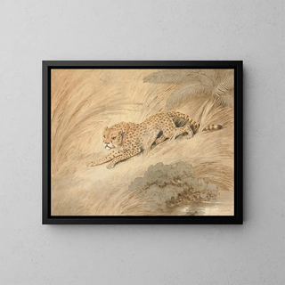 Samuel Howitt - A Cheetah Crouching by a Pool.webp