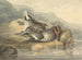 Teal mort - Samuel Howitt — visning af kunstværket