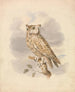Petit-duc - Samuel Howitt — visning af kunstværket