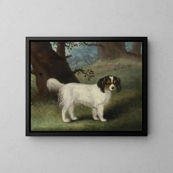 King Charles Spaniel - Samuel Spode — indrammet kunstværk på væggen