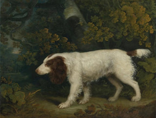 Sawrey Gilpin - A Spaniel in a Landscape.webp