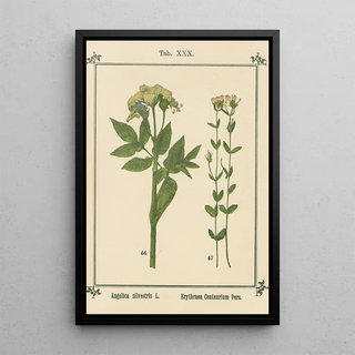 Sebastian Kneipp - Plantatlas to My watercure Pl10.webp