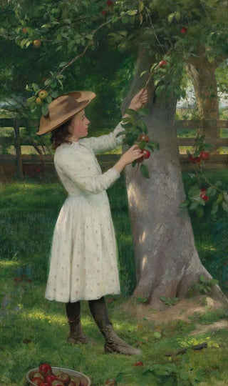 Seymour Joseph Guy - The Pick Of The Orchard Picking Apples.webp
