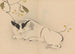 Zeshin iboku tairyukyo gafu Pl08 - Shibata Zeshin — visning af kunstværket