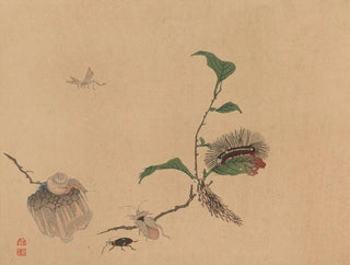 Shunkei Mori - Chuka senzen Pl05.webp