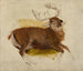 Cerf mourant - Sir Edwin Henry Landseer — visning af kunstværket
