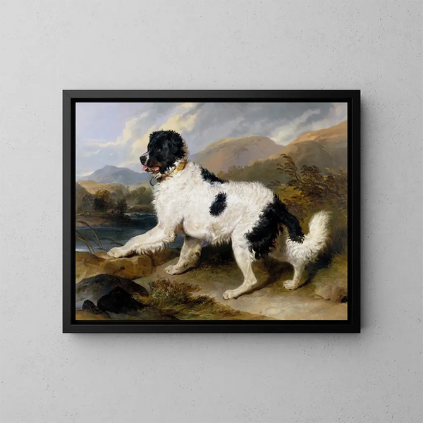 Lion, en Newfoundland-hund - Sir Edwin Henry Landseer — indrammet kunstværk på væggen