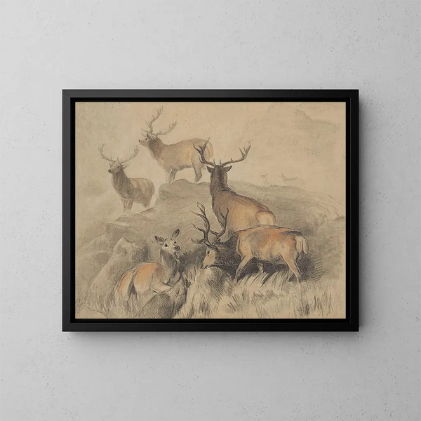 Nogle af de smukkeste hjorte i skoven - Sir Edwin Henry Landseer — indrammet kunstværk på væggen