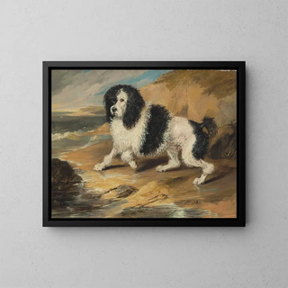 Sir Edwin Henry Landseer - Tapageur the Poodle belonging to the Honorable Frederick Byng.webp