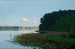 Lac med lotusblomster - Stanisław Witkiewicz — visning af kunstværket