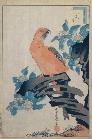 Sugakudo - Untitled.webp