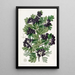 Aubépine noire à feuilles velues - Sydenham Edwards — indrammet kunstværk på væggen