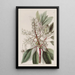 Arbousier à feuilles de laurier - Sydenham Edwards — indrammet kunstværk på væggen