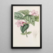 Ruellia à fleurs lilas - Sydenham Edwards — indrammet kunstværk på væggen