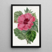 Hibiscus fra Kina med enkeltblomst - Sydenham Edwards — indrammet kunstværk på væggen
