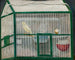 Cage med en kanariefugl - Tadeusz Makowski — visning af kunstværket