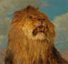 Tête de lion relevée - Rosa Bonheur — visning af kunstværket