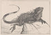 Lézard sur une pierre dans l'eau - Theo van Hoytema — visning af kunstværket