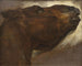Studie af en død hest - Théodore Géricault — visning af kunstværket