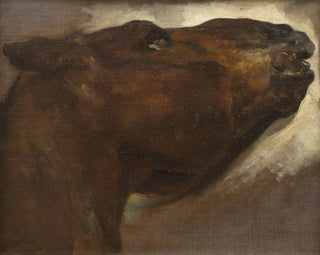 Thodore Gricault - Study of a Dead Horse.webp