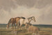 Quatre poneys sur une lande galloise - Thomas Creswick — visning af kunstværket